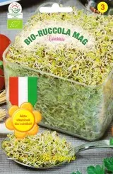 Bio-ruccola csíra mag Bio-ruccola csíra mag