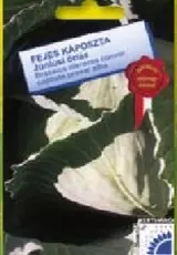 Fejes káposzta Júniusi óriás Fejes káposzta Júniusi óriás