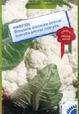 Karfiol Oktavian Karfiol Oktavian
