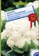 Karfiol Beta Karfiol Beta