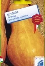 Sütőtök Orange Sütőtök Orange