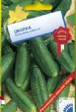 uborka Perez F1 uborka Perez F1