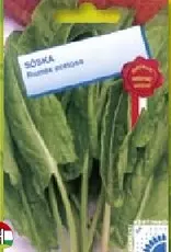 sóska Pallagi nagylevelű sóska Pallagi nagylevelű